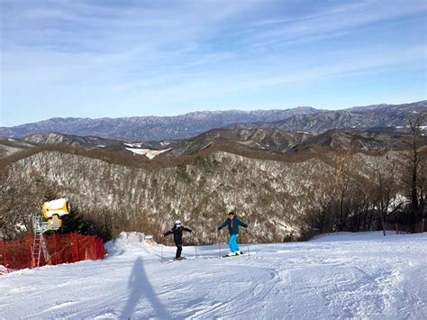 Yongpyong Ski Resort Guide: A World-Class Ski Resort in Korea - Trazy ...