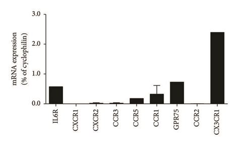 Mrna Expression Of Myokine Receptors In Mouse Islets Quantification Of