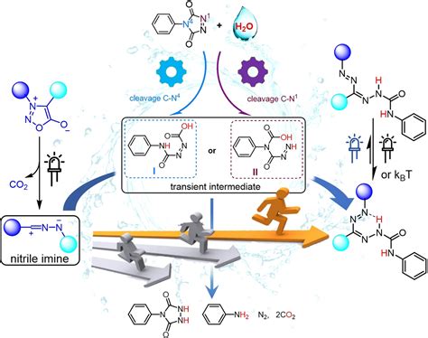 WaterInvolved RingOpening Of 4Phenyl1 2 4triazoline3 5dione For