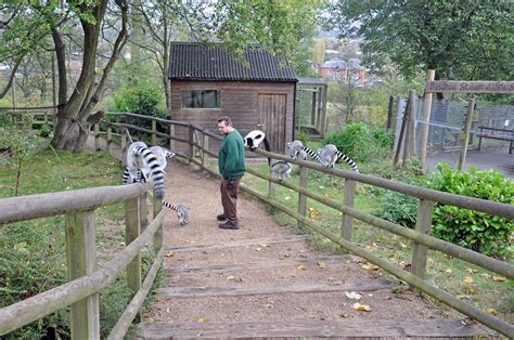 31909 Dudley Zoological Gardens Dudley West Midlands Du Flickr