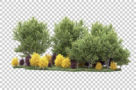 Page 2 Backyard Tree Psd 12000 High Quality Free Psd Templates For