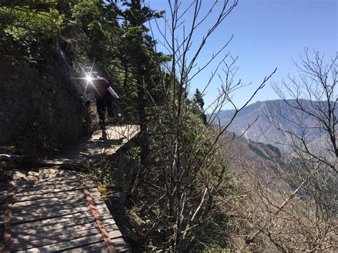 八経ヶ岳に続き快晴の大普賢岳へchallenge ️ 観音峯山・大普賢岳・山上ヶ岳・稲村ヶ岳の写真41枚目 斜面下は😱