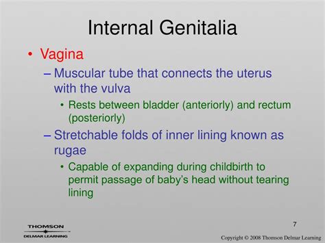 Ppt Female Reproductive System Powerpoint Presentation Free Download Id219974