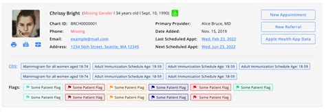 Patient Flags Enhancement To Display In Patient Chart Header And