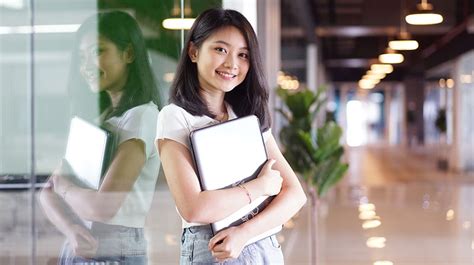 rpl universitas ciputra