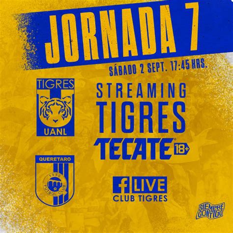 Tigres Vs Querétaro ¿cuándo Y Dónde Ver El Duelo De La Jornada 7 De Liga Mx Infobae