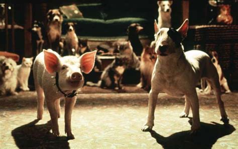 Foto de la película Babe el cerdito en la ciudad Foto por un