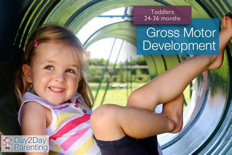 Gross motor activities for toddlers will help them develop their large ...