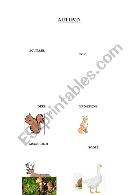 ANIMALS IN AUTUMN - ESL worksheet by kiuri06