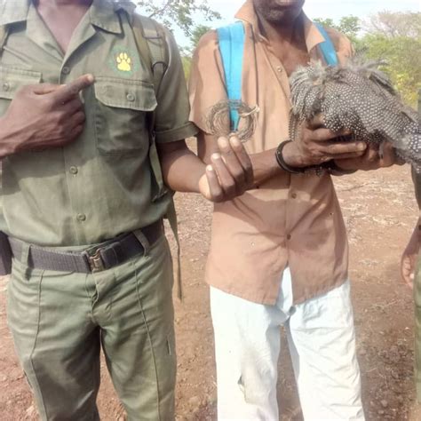 Victoria Falls Anti Poaching Unit November 2023 Victoria Falls Anti