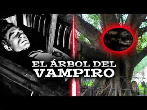 La Leyenda Del Rbol Del Vampiro De Guadalajara Youtube