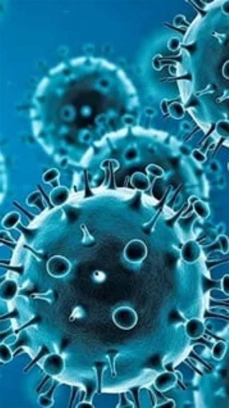 Norovirus: नोरोव्हायरसची 'महासत्तेला' धास्ती; जाणून घ्या किती खतरनाक