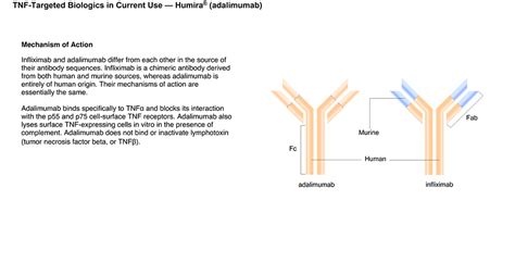 Rheumatoid_Arthritis_Treatments_with_Biologics