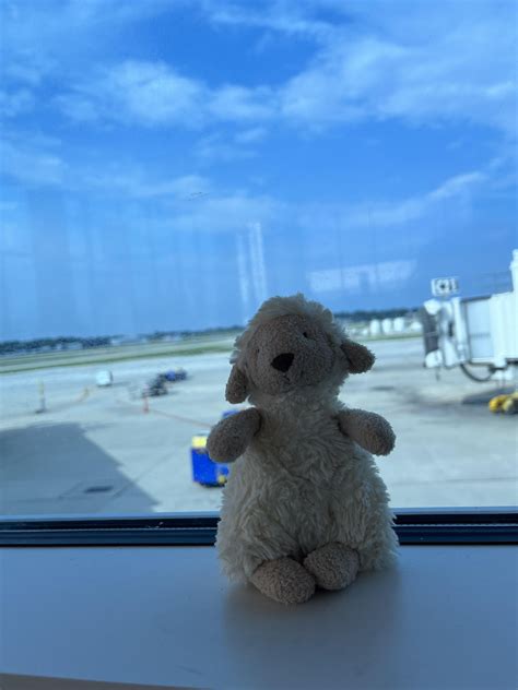 Rev seekers ready to fly! : r/sylvaneth