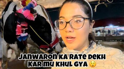 Qurbani Ka Janwar Khreed Lia 🐮 Vera Mil Gya 😂♥️ Lahore Ki Sb Sy Bhri