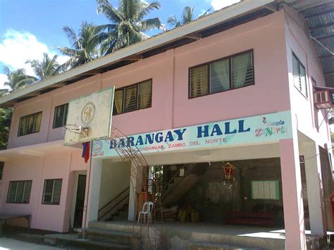 File Barangay Hall Mandih Sindangan Zamboanga Del Norte  Philippines