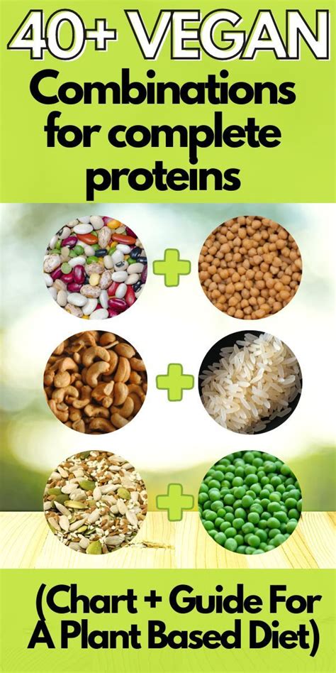 Complete protein combinations for vegans chart foods guide – Artofit