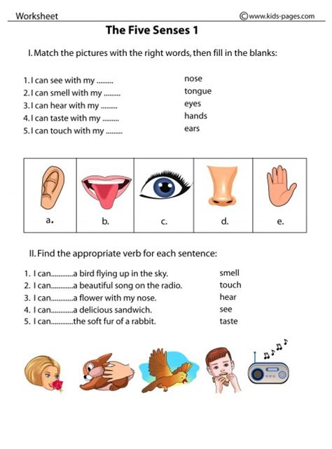 5 Senses Worksheet For Kids