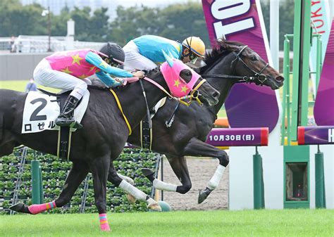 シーズンリッチ、直線の力比べ制す 久保田師「千八～二千あたりを使っていきたい」／東京3r 2歳馬特集 競馬写真ニュース 日刊スポーツ