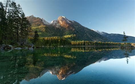 Green Pine Trees Nature Landscape Reflection Lake Hd Wallpaper