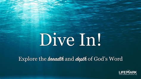 Dive In Bible Study By LifeMark Ministries