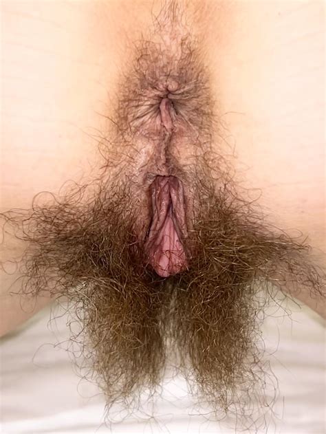 Best Hairy Milf Images On Pholder Hairy Pussy Hairymilfs And Milf