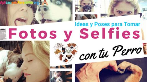 20 Ideas De Fotos Con Perros Muy Creativas Y Divertidas Foto