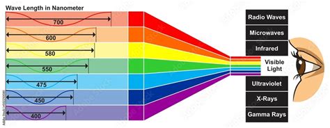 Visible Light Wavelength Chart