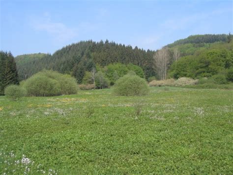 PM Gute Nachrichten Naturefund