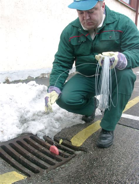 40 years of rat control in Budapest: The importance of sewer treatments ...