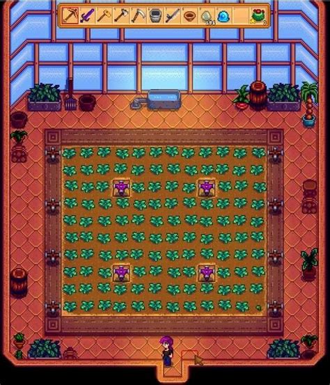 Optimized Sprinkler Layout for Greenhouse | Stardew valley, Stardew ...