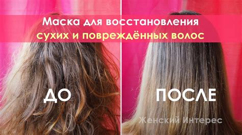 Как восстановить сухие и поврежденные волосы. В домашних условиях ...