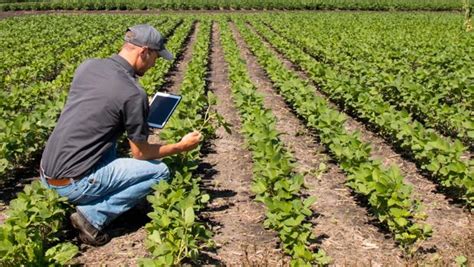 Emprendedor Agr Cola El Negocio De La Agricultura Agroingenia Canarias