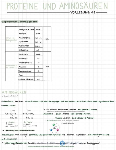 Biochemie Zusammenfassung I U S Orlesung