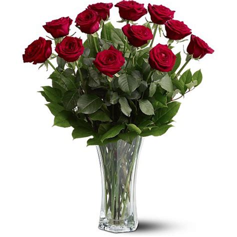 Shopping Tips For Valentines Day Roses Uf Ifas Extension Marion County