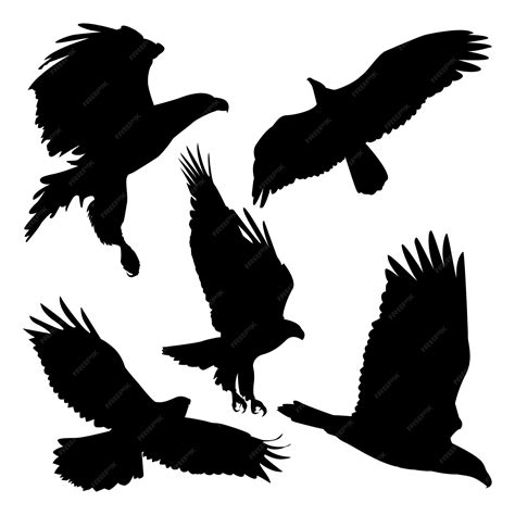 premium vector black flying eagle silhouettes vector illustration
