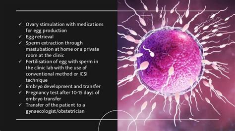 Ivf Process And Its Advantages And Disadvantagespdf