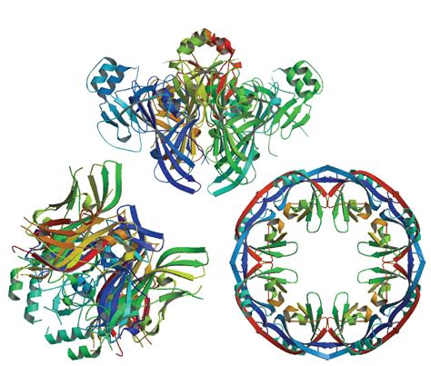 Berkeley Lab User Programs Support Ebola Virus Research - Biosciences