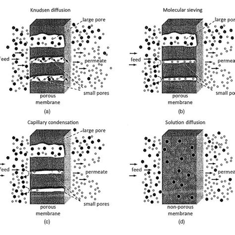 Pdf Gas Transport Through Porous Membranes