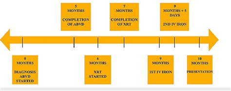 Timeline Displaying Time Of Her Hodgkin S Lymphoma Diagnosis When She