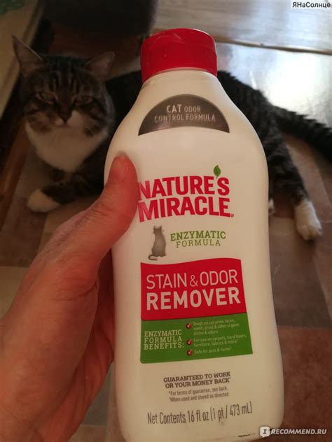 Универсальный уничтожитель пятен и запахов от животных Nature’s Miracle ...
