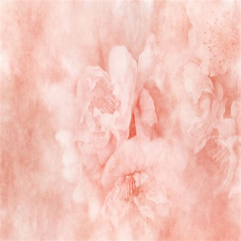 Fine Art Textures Photoshop Textures Flower Textures Floral - Etsy