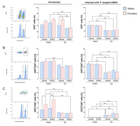 Ijms Free Full Text Dhea Induces Sex Associated Differential