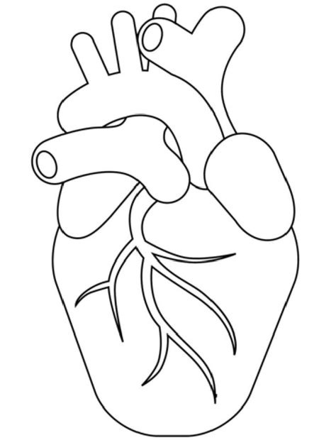 Desenhos de Coração Humano para Colorir Pintar e Imprimir