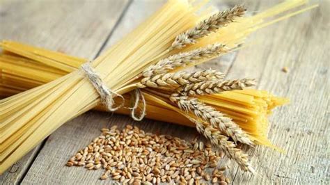 Особенности твердых сортов пшеницы | Agrimatco