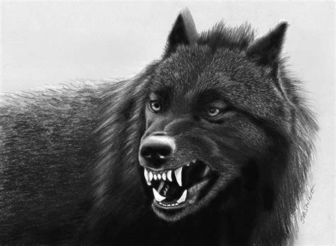 Час волка: raven_yellow — LiveJournal