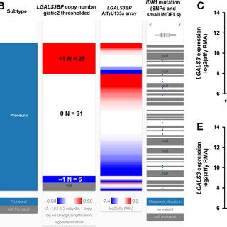 The Expression Profile Of LGALS3 And LGALS3BP In Glioblastoma GBM