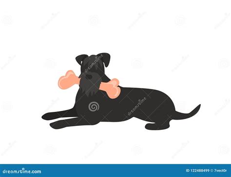 Dog Eating Bone Stock Illustrations – 949 Dog Eating Bone Stock Illustrations, Vectors & Clipart ...