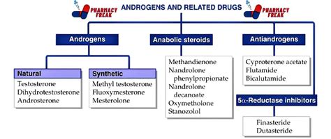 Classification Of Androgens And Related Drugs Pharmacy Freak