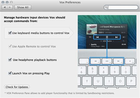 Itunes Playpause Buttons Different Application Ask Different